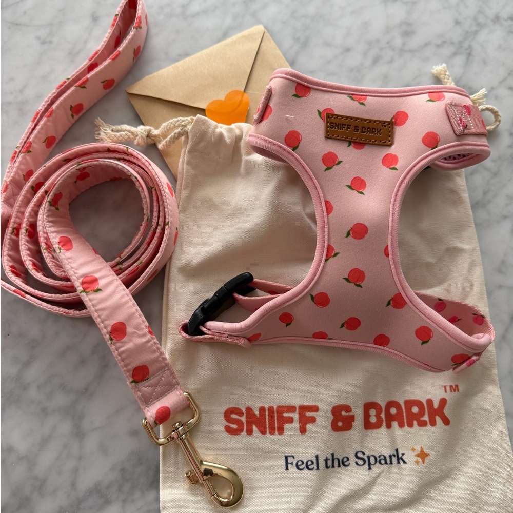 Sniff & Bark Pink Dog Harness and Leash Set